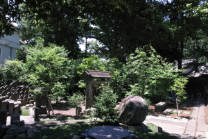 草花　大田区池上　永寿院