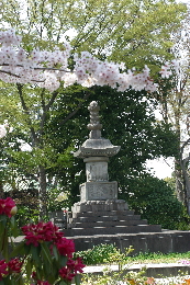 永寿院と芳心院１