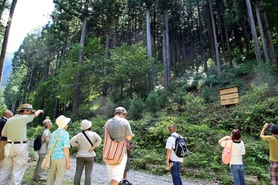 お坊さんと行く「東京の山を知る」スタディ・ツアーレポート 多摩の山で、日本の林業を学ぶ 杉塔婆 東京