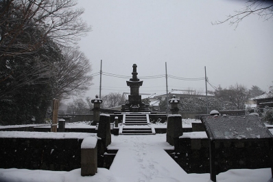 お寺の雪景色 雪と万両塚 お寺 雪