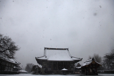 お寺の雪景色 雪と万両塚 お寺 雪