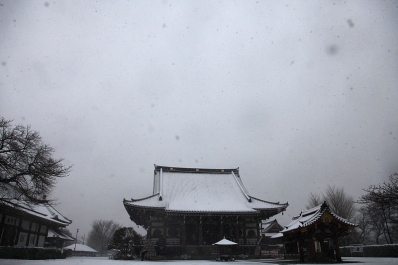 お寺の雪景色 雪と万両塚 お寺 雪 お寺の雪景色 雪と万両塚 お寺 雪