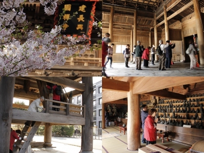 寺ネットサンガの遠足～鎌倉 お坊さんと話しながら春の鎌倉を散歩 鎌倉 サンガ