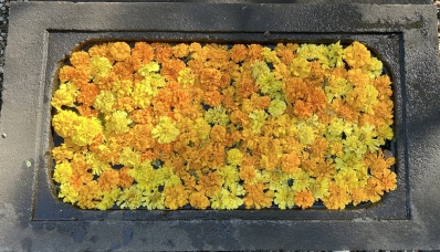 法華経日めくり 令和7年11月 11月1日~30日 妙荘厳王 浄蔵・浄眼 法華経日めくり 令和7年11月 11月1日~30日 妙荘厳王 浄蔵・浄眼