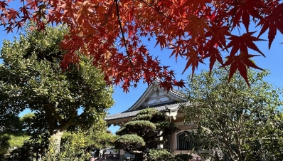 日本人の宗教観 日本人の国民性調査 信仰心 受持