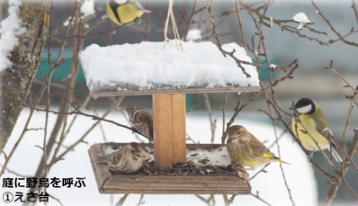 お寺の庭づくりワークショップ　第11回　「造園」 モノゴトをつなぐランドスケープデザイン ランドスケープ スタジオテラ