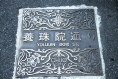 日本橋　養珠院通りで 庄賀友美
